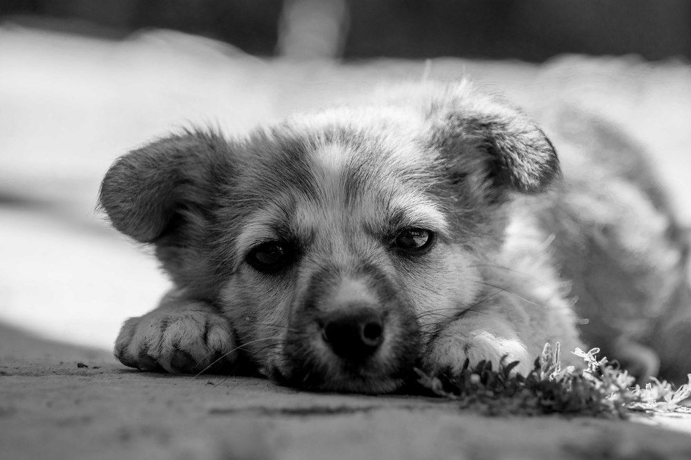 Взрослый взгляд ребенка