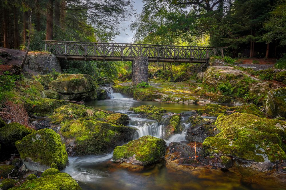 Photograph by Anatoly Chomko