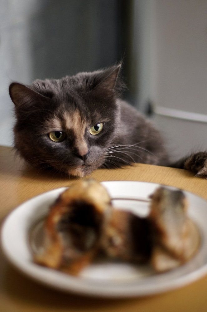 Вкусно... Поделись!