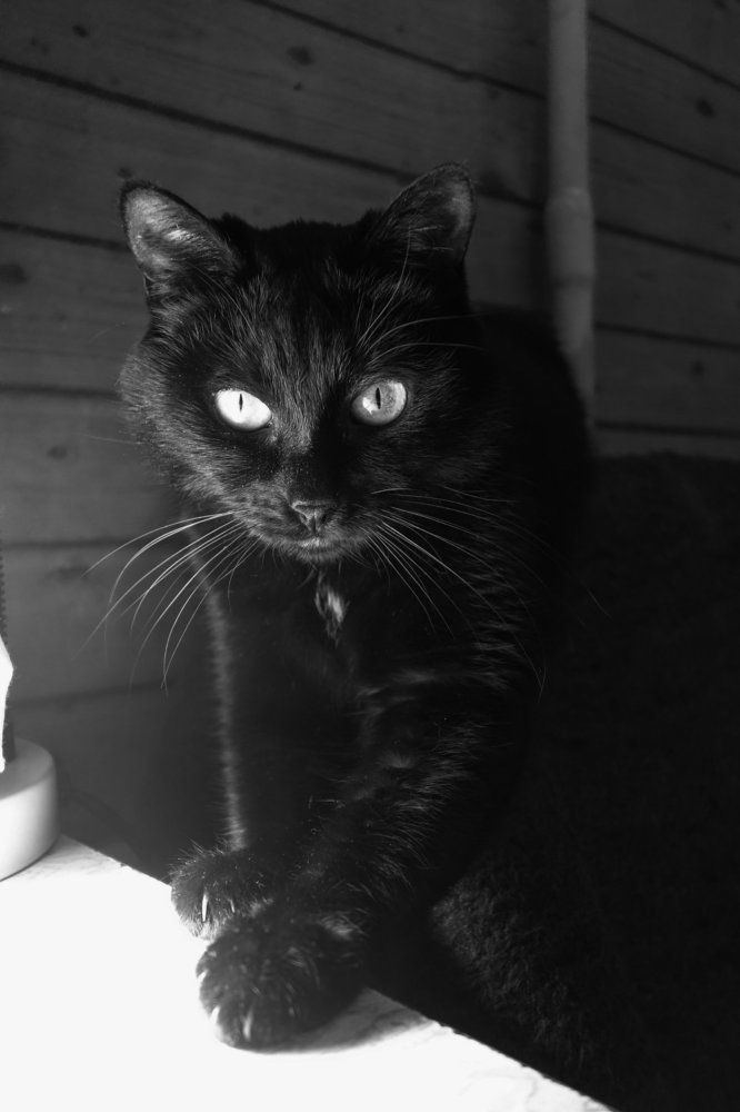 Photograph by Александр Козленков