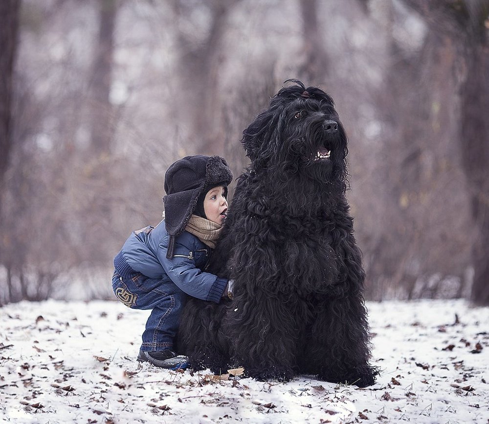 Photograph by Екатерина Годова