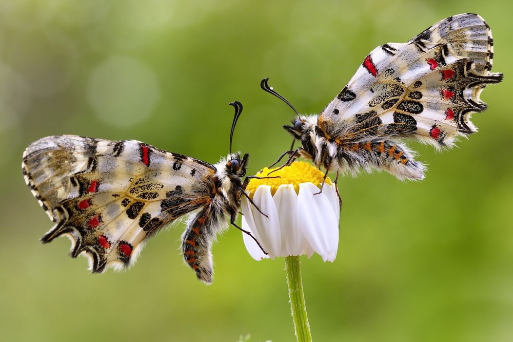 Место встречи изменить нельзя...