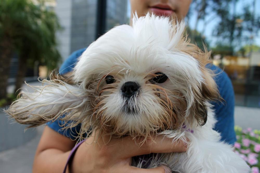 Photograph by Irina Radzinskaya