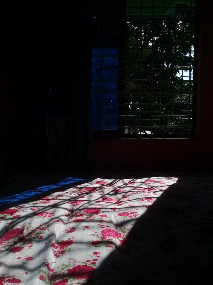 Morning light