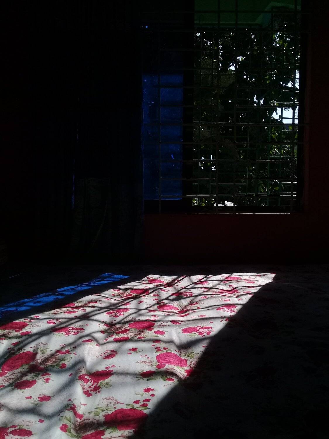 Morning light