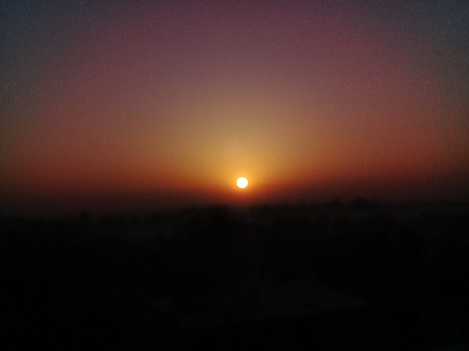Sunrise