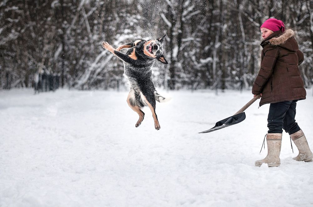 Попрыгунья