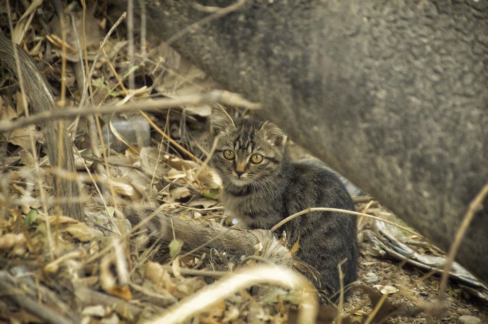 Photograph by Сергей Бережной
