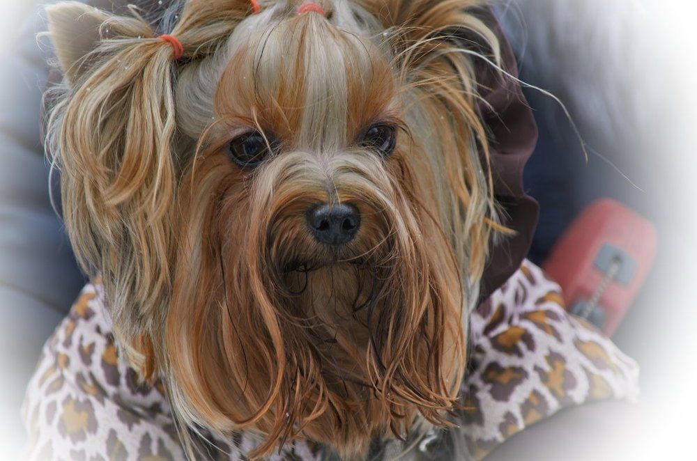 На прогулке...