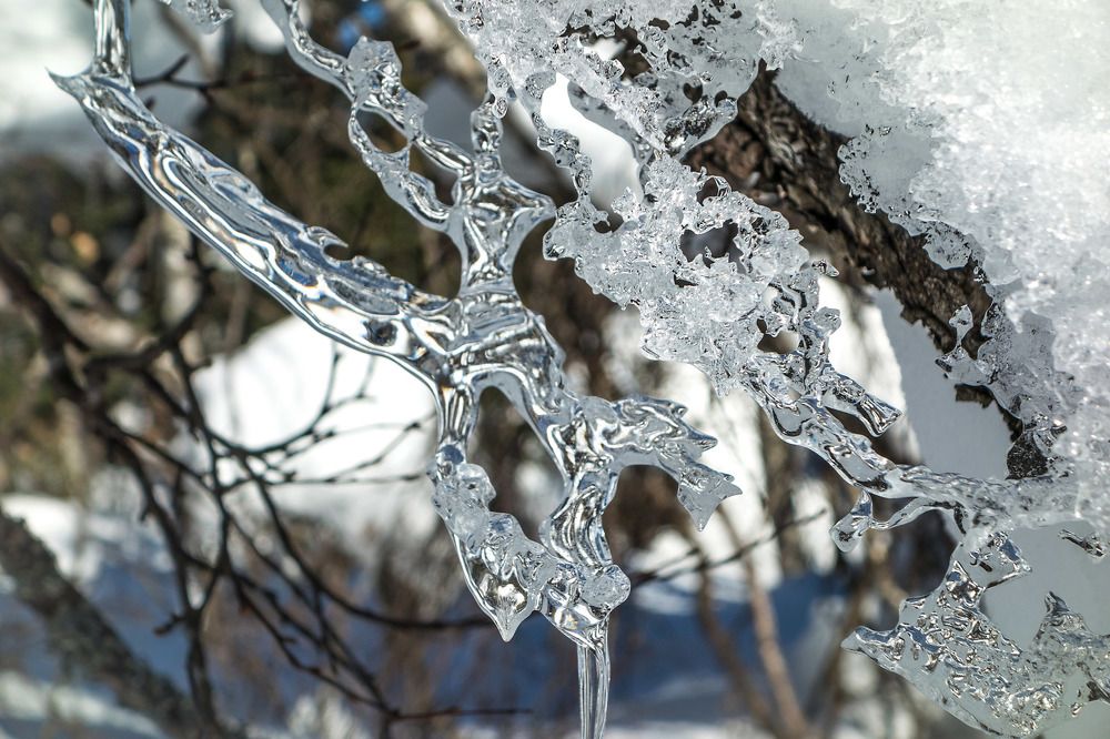 Photograph by Галина