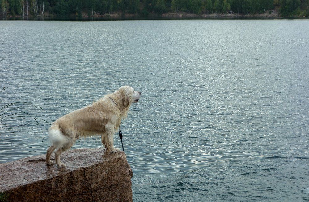 Photograph by Галина