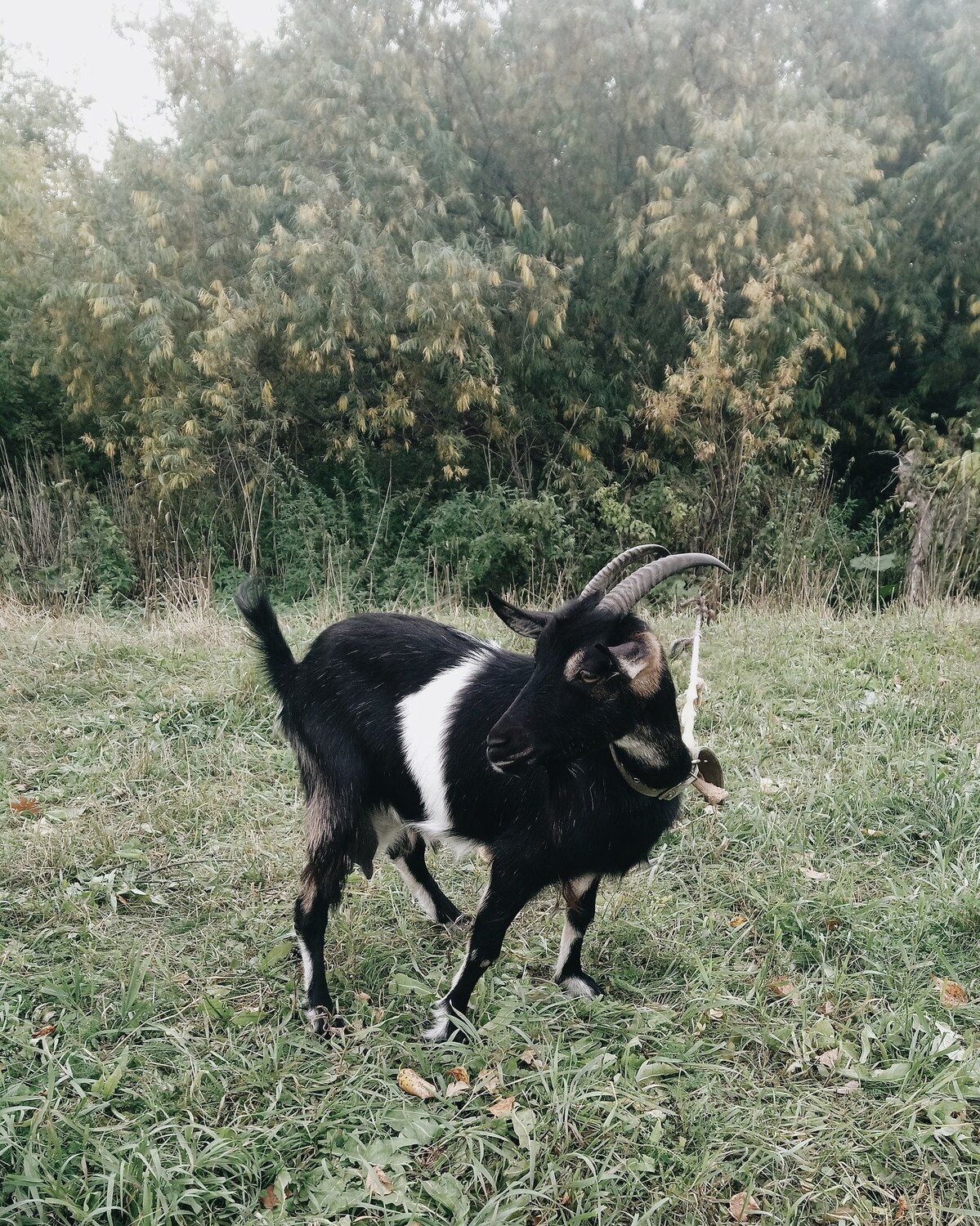 Photo #2554553