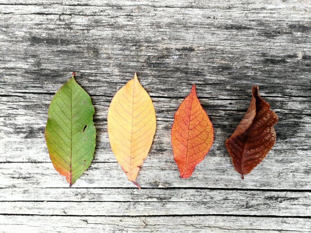 Photograph by Алёна Останкова