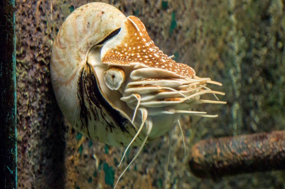 Photograph by Алёна Останкова