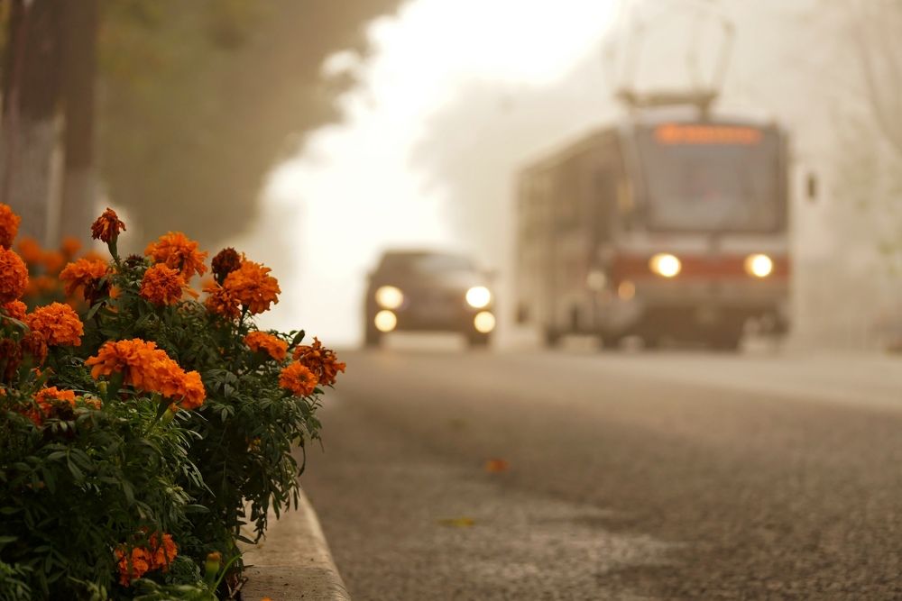 Photograph by Александр Попов