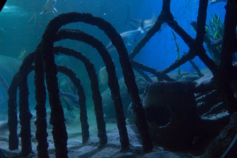 Photograph by Алёна Останкова