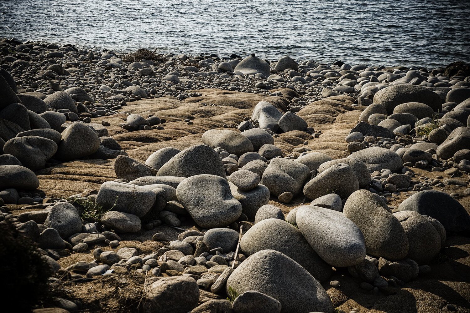 Eggs on the beach