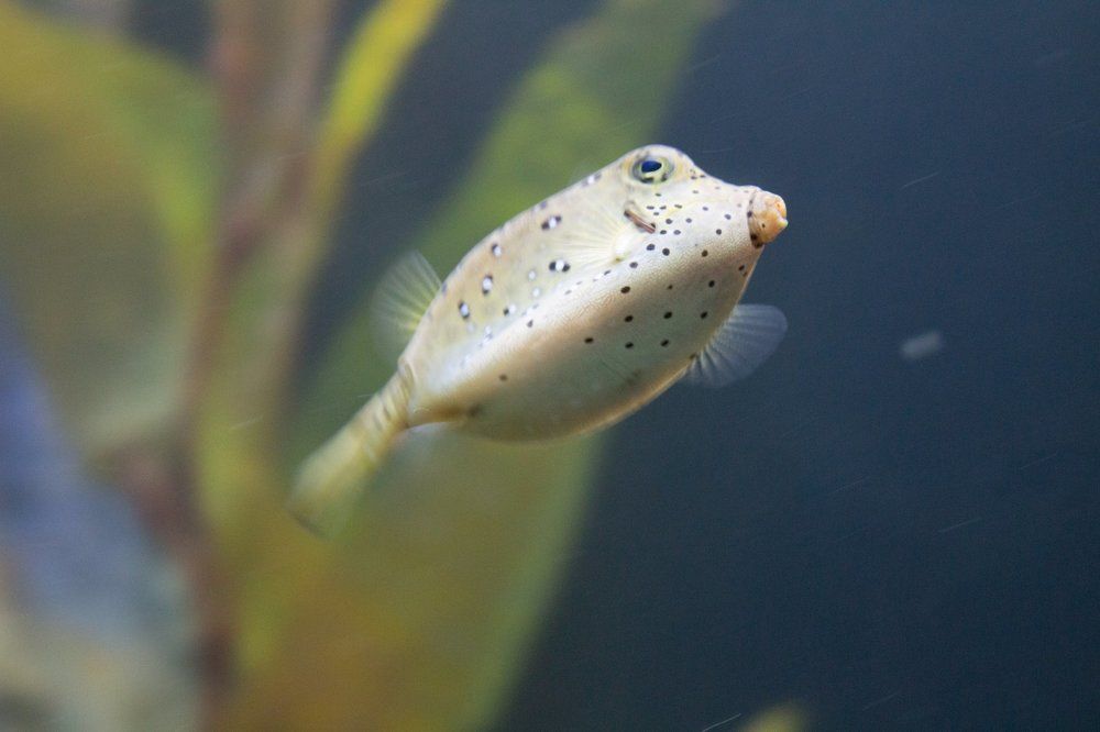 Photograph by Алёна Останкова