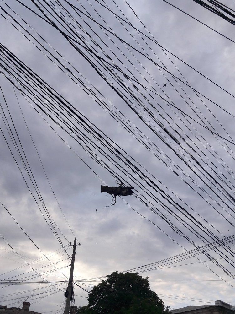 Photograph by Фаина Богун