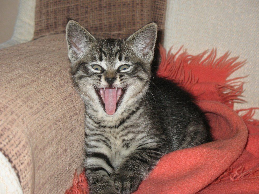 Photograph by Галина