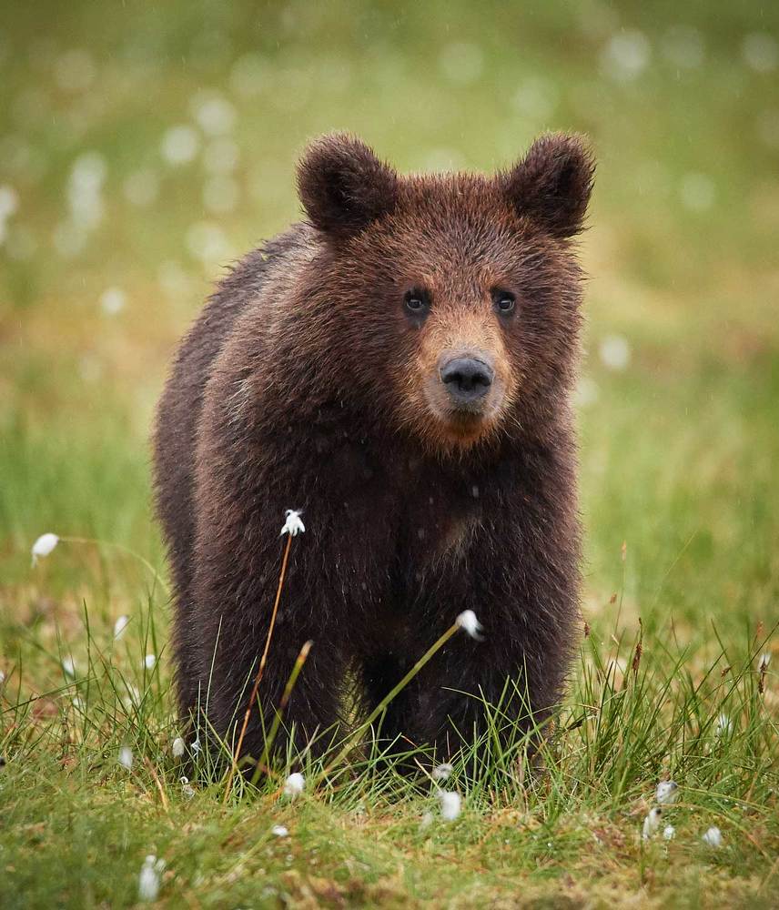 А чё это вы здесь делаете, а?