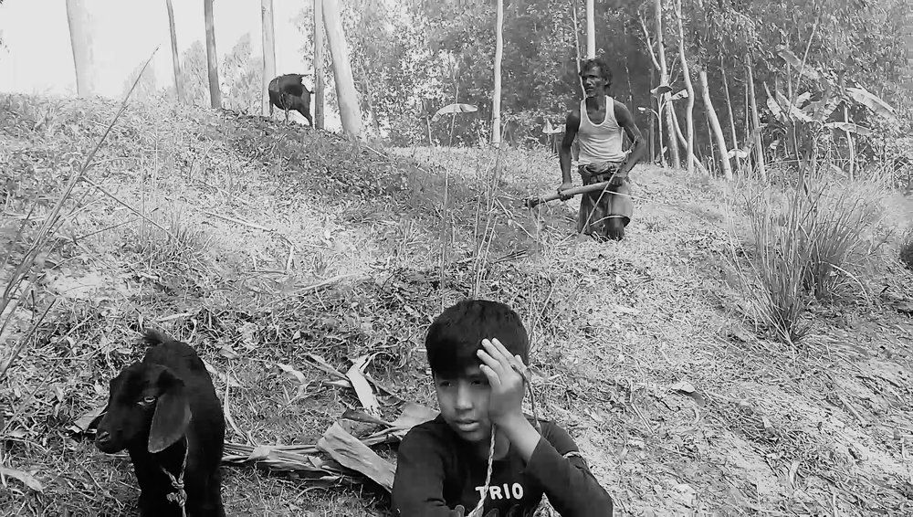 Photograph by Md Abu Sayeed Mondal