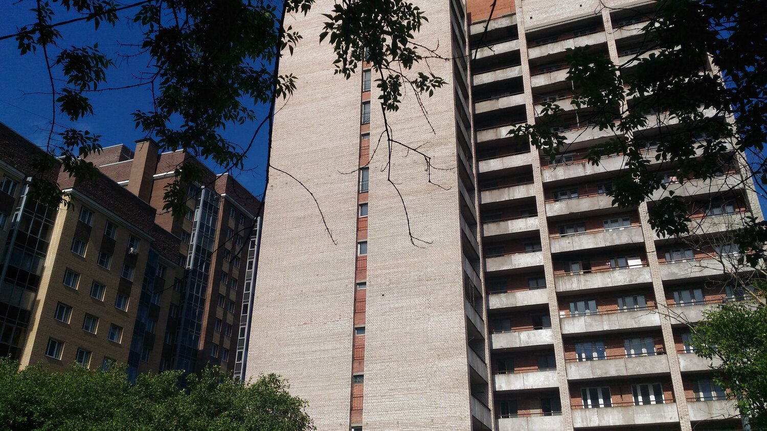 Среда