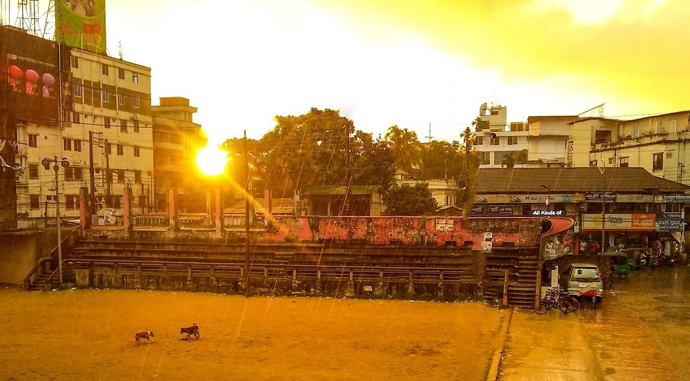 Awesome life in summer