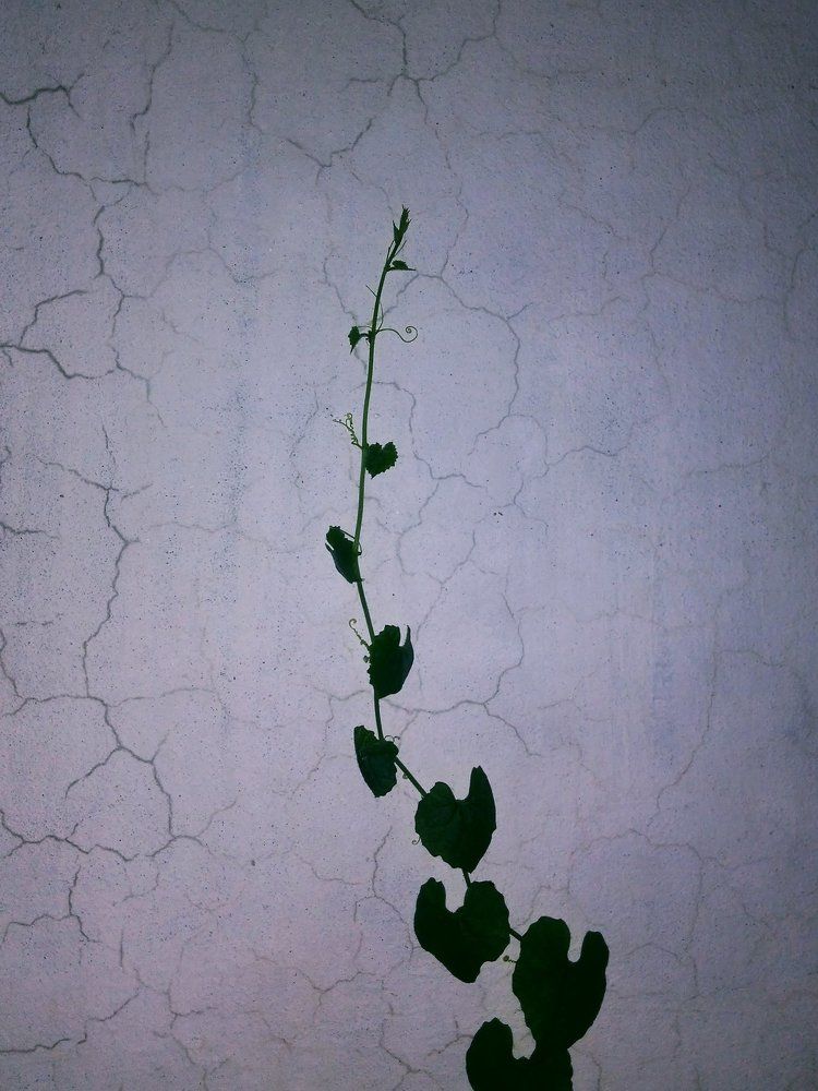 Photograph by Himel Abir