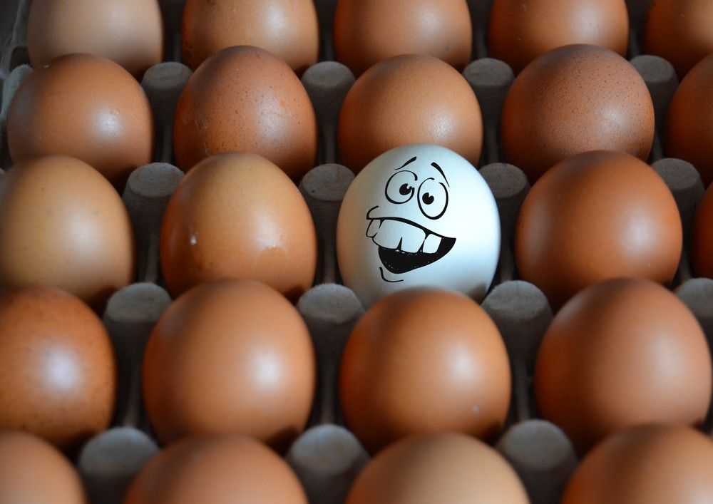 Photograph by Cornelia Ilie