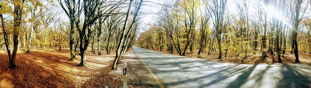 Autumn