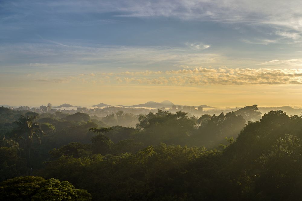 View from my apartment window