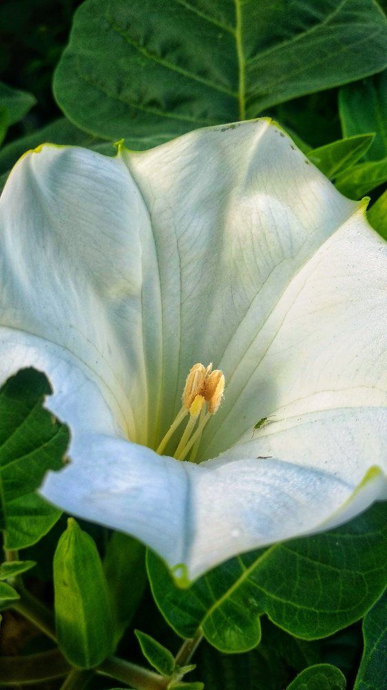 Beauty of nature