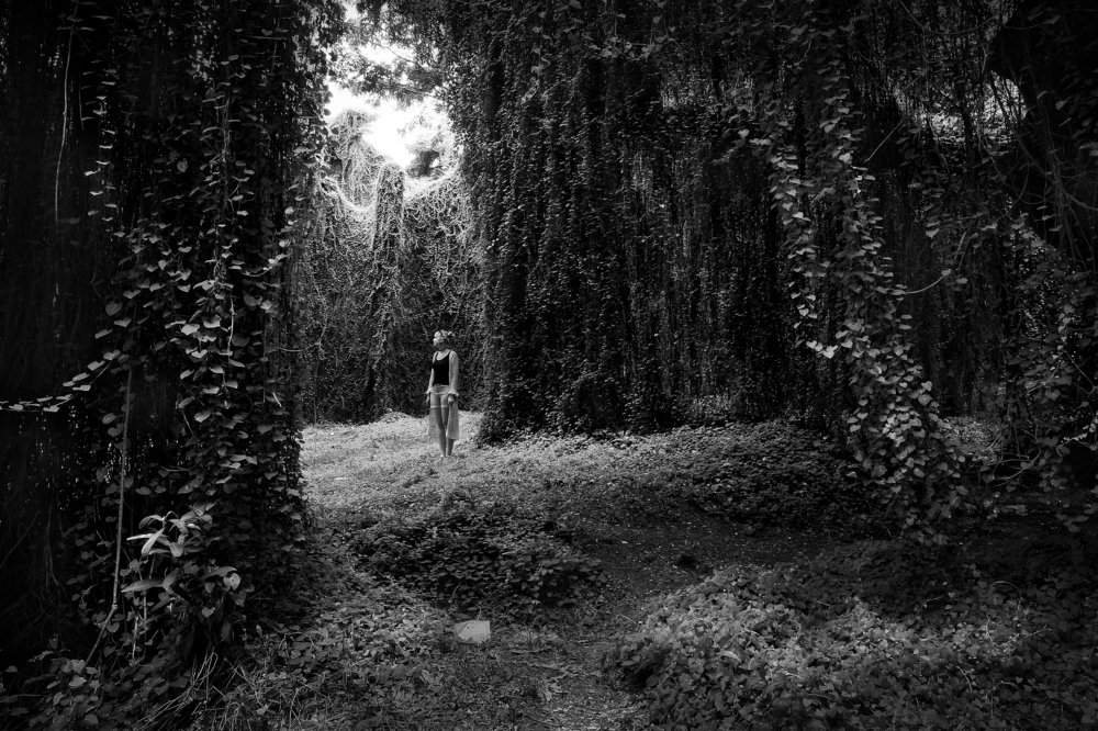 Photograph by Станислав Ситников