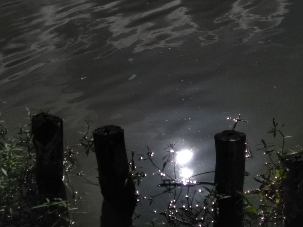 Reflect of sky