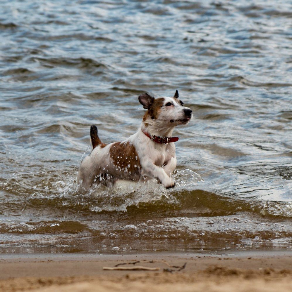 Позитивный малыш Фрай....