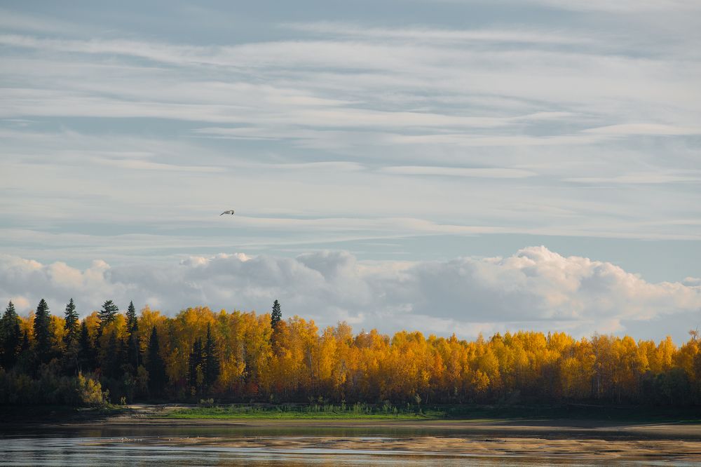 Краски осени