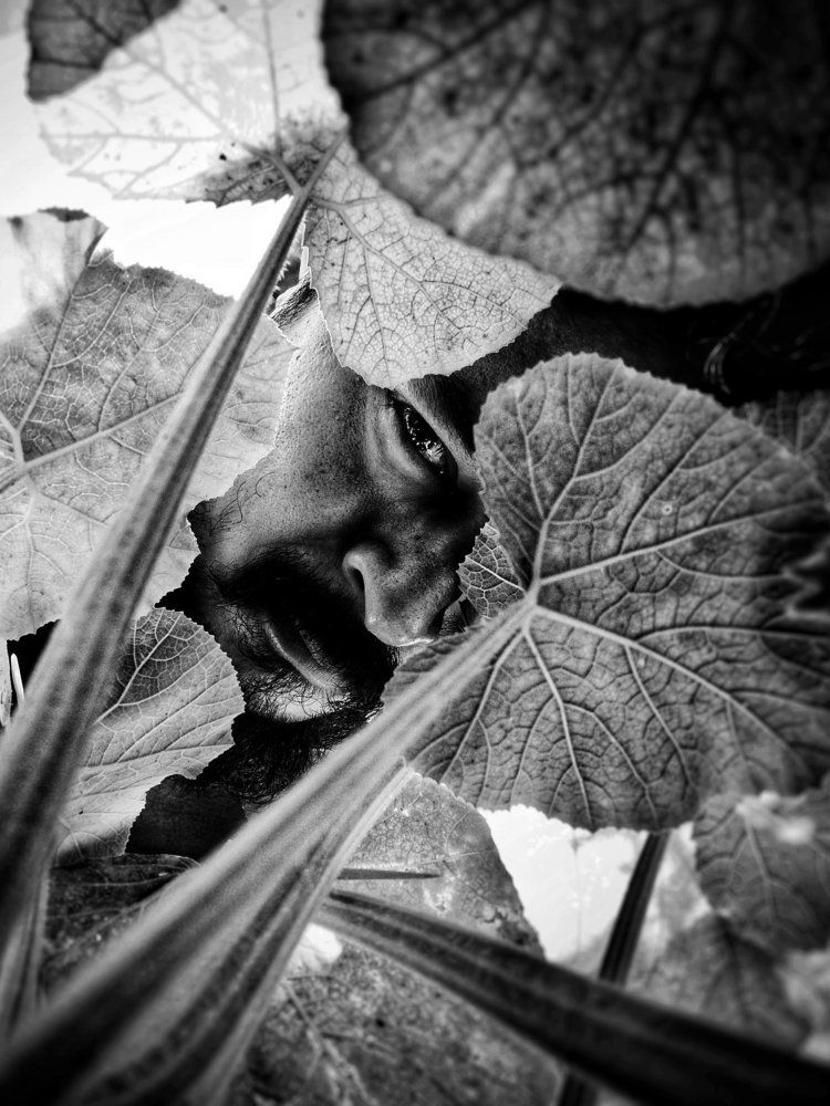 Self Portrait abstraction