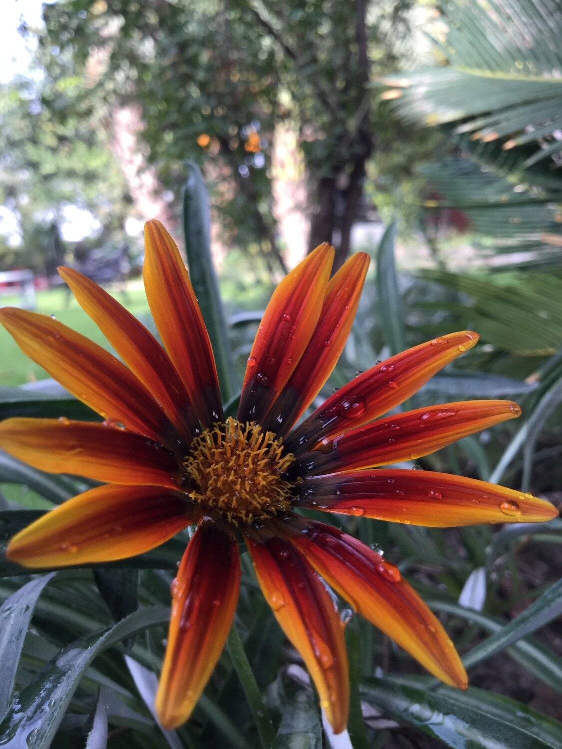 Beauty of nature