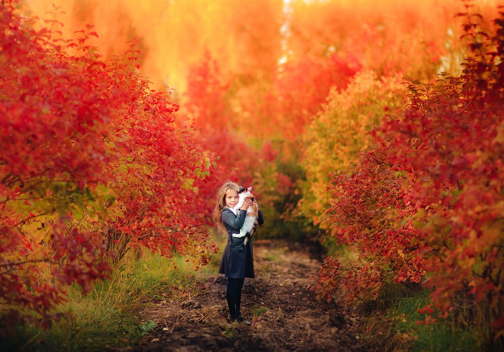 Photograph by Ольга