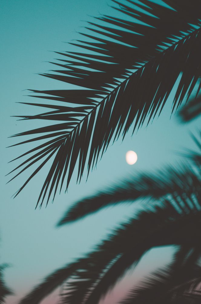 Photograph by Александр Белостоцкий