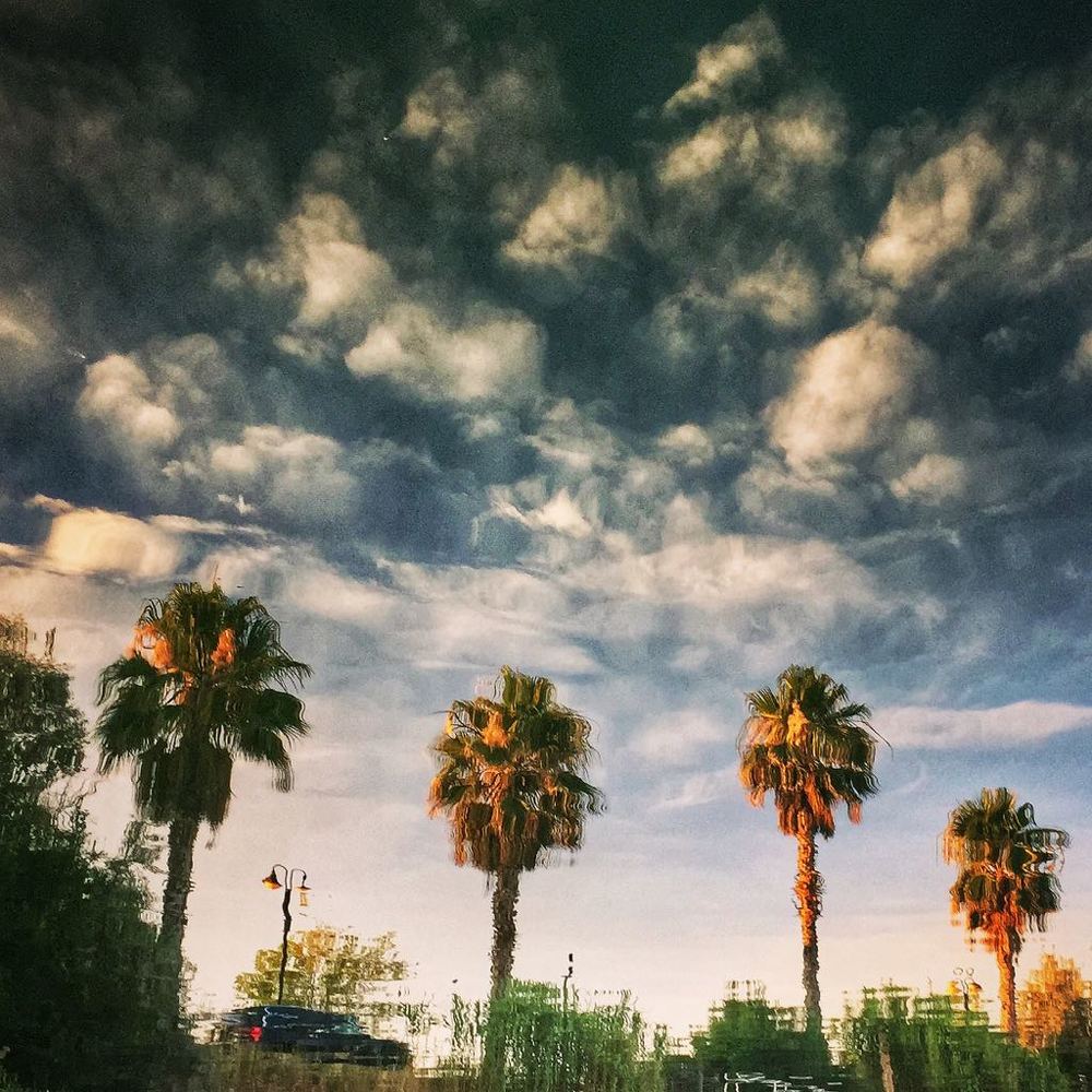 Отражение в воде