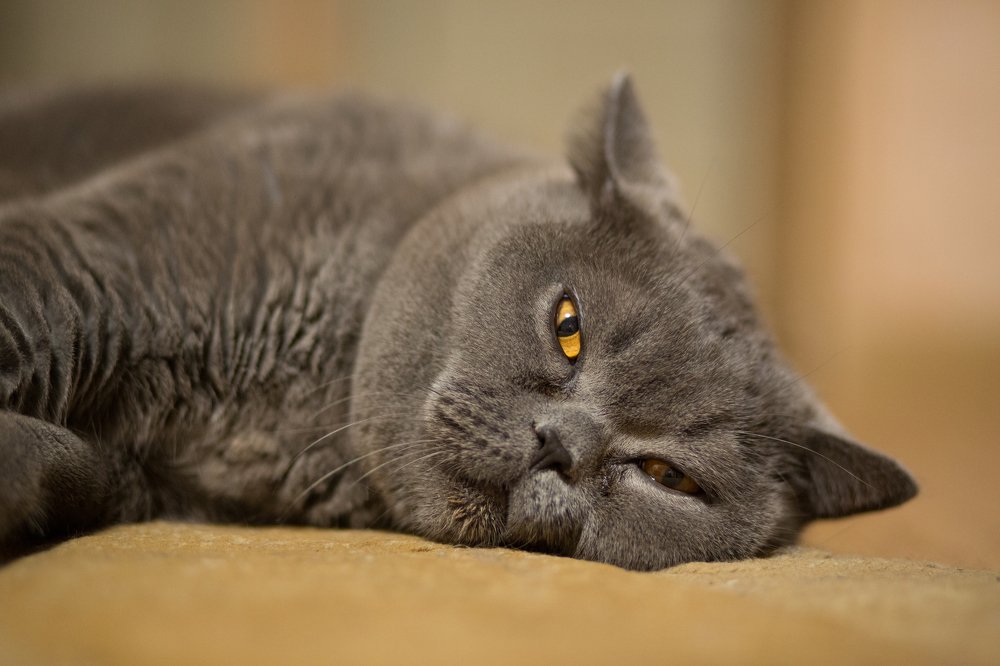 И я тебя вижу...