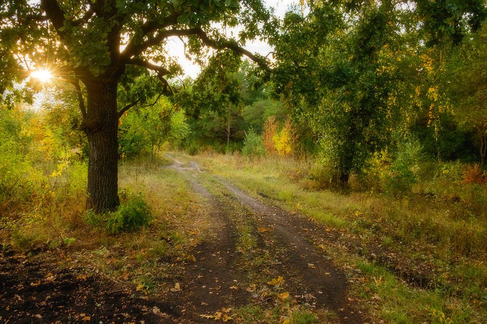 Осенние краски...