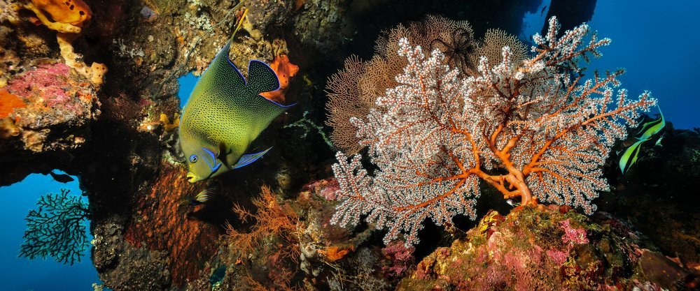 На рэке Liberty