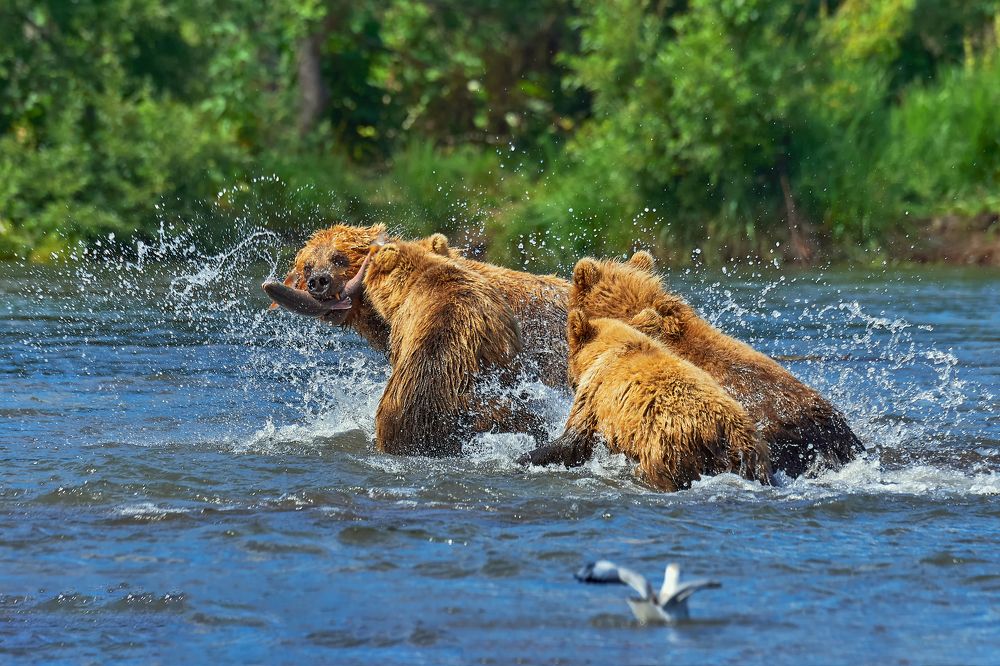 Когда детки подросли