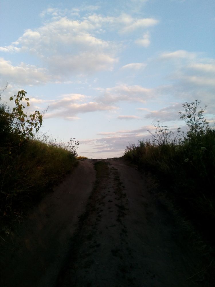 Нежность