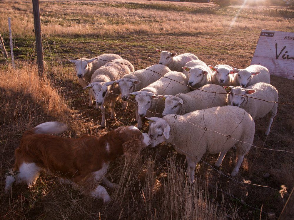 Подходите,ребята, всех приголублю:)