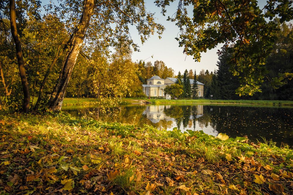 Осень в парке.