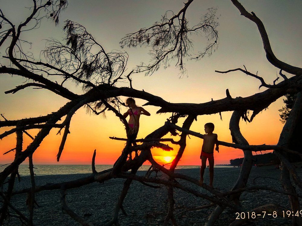 В таинственном лесу при закате..